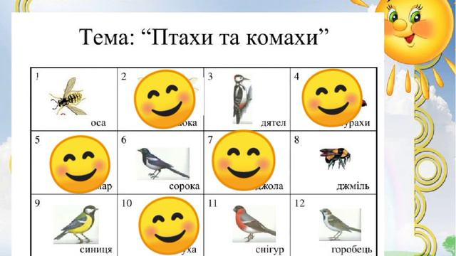 Розвиток мовлення. Тема: "Дивовижний світ комах".(сер.гр.)