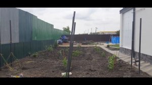 Ставим шпалеры