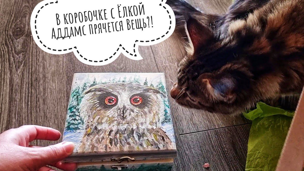 Распаковка кошкой Морошкой милой посылки, утренняя сова Ёль и Корожадный заяц-пробегаец в эпизоде