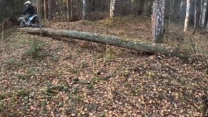 Как на китайском мотоцикле переезжать бревна ( эндуро)хард эндуро .Enduro kex