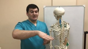 Остеохондроз из-за прямохождения? Что может быть хуже?