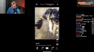 БРАТИШКИН СМОТРИТ ТИК ТОК #17 | Bratishkin Tik Tok