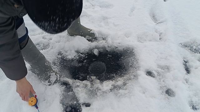 РЫБАЛКА НА ЖЕРЛИЦЫ.СЕЗОН ЗИМНЕЙ РЫБАЛКИ ОТКРЫЛ УДАЧНО. #112 смотреть онлайн