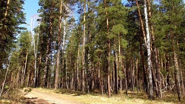 Божественное восстановление волос 2 часть Для женщин Сытин Г.Н. смотреть онлайн