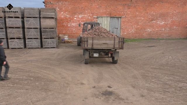 Продолжаем уборку картофеля картофелекопалками смотреть онлайн