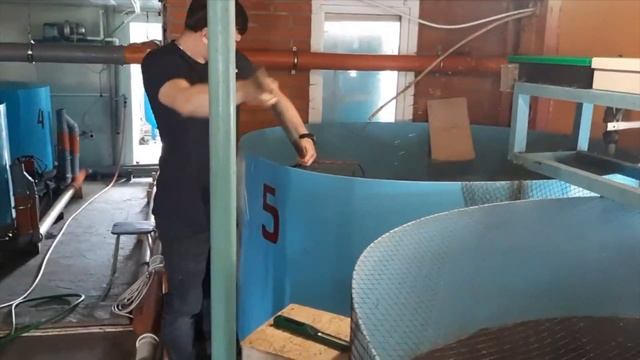 Влияние плотности посадки на скорость роста рыбы | УЗВ | CatFish | смотреть онлайн