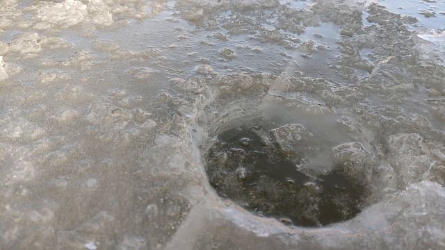 Первая "ледяная" уха нового сезона. Небольшой видео отчет. Бердянское водохранилище 22 01 2022 смотреть онлайн