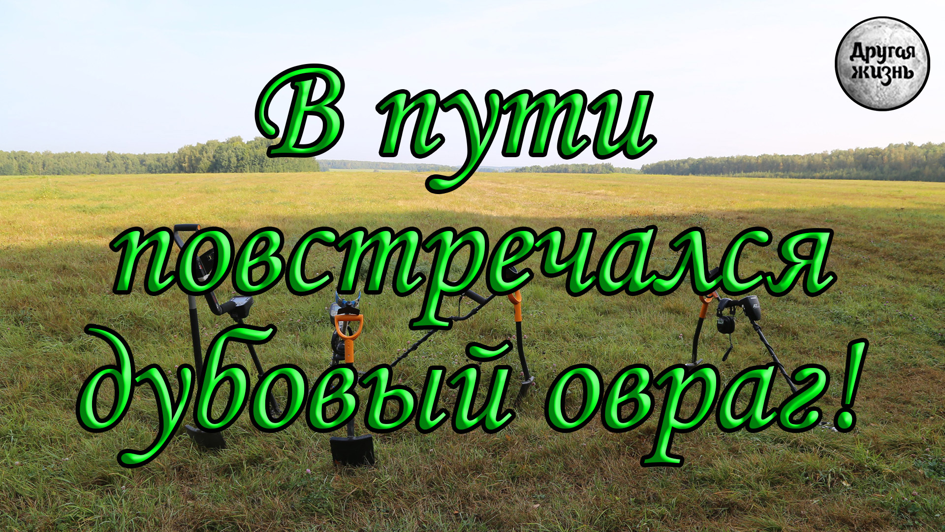 В пути повстречался дубовый овраг | Находки в лесу и на краю оврага | Коп с металлоискателем