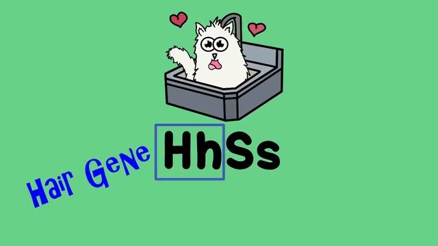 Dihybrid and Two-Trait Crosses смотреть онлайн