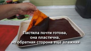Пастила Белевская черносмородиновая. Вкусный рецепт