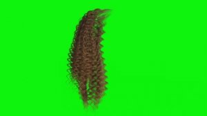 Green Screen Hair effects overlay