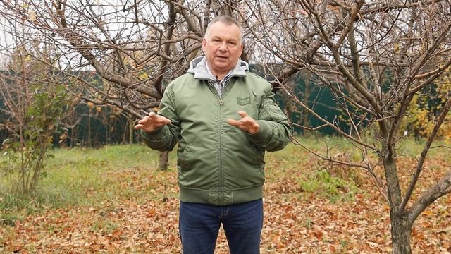 Дачные работы с 3 по 17 ноября. Подготовка сада и огорода к зиме