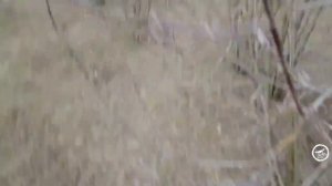 DJI Mini2 Взлет с рук и посадка в руки