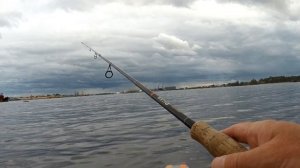 Конец лета. Судак .  Дроп шот.