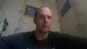 Коневодство, молочная ферма, мясное скотоводство. Что выгоднее?