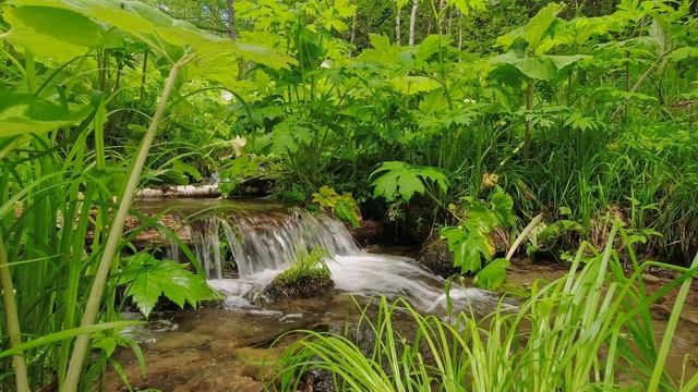 Музыка со звуками природы для глубокой медитации и снятия стресса смотреть онлайн
