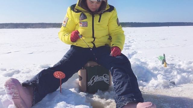Пробую ловить леща окуня и судака на Волге в глухозимье смотреть онлайн