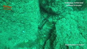 ДАЙВИНГ в Крыму - полный ОБЗОР. Помощь туристам. Канал Мой Крым