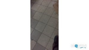 ΠΠ»Π΅ΠΊΡΡΠΎΠ²Π΅Π½ΡΠ΅Π»ΡΡΠΎΡ Π½Π° ΠΠ°Π·Π΅Π»Ρ ΠΠΈΠ·Π½Π΅Ρ ΡΠΌΠ· 4216