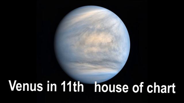 secret of | Venus in 11th   house of chart #astrologyforecast #science #astrologypredictions