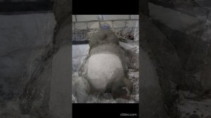 САДОВЫЙ ГНОМ СОНЯ из ЦЕМЕНТА своими руками/ ПОДЕЛКИ ДЛЯ САДА /  cement crafts with your own hands