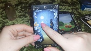 ТАРО ЧЕРНЫХ КОТОВ ? ОБЗОР!!!