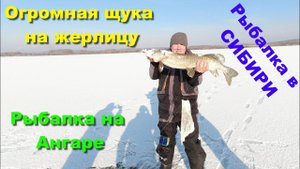 Огромная щука на жерлицу. Рыбалка на Ангаре. Рыбалка в СИБИРИ зимой