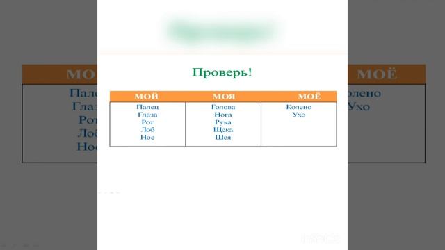 1 класс Русский язык Части тела. Обмен мнениями. Информационный постер "Моё тело". смотреть онлайн