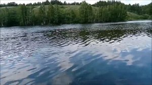 Платник в Печеркино! 15 кг Карп!