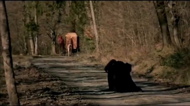 Зачем Сулейман приказал казнить  сына Мустафы и кого в этом винить?  Великолепный век смотреть онлайн