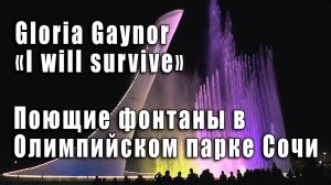 Поющие фонтаны в Олимпийском парке Сочи. I Will Survive (Gloria Gaynor). Светомузыкальное шоу - 2019