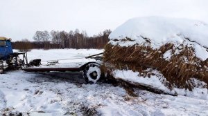 Дт-75. Река вышла из берегов. Вывозка сена. #дт75#лебедка#сено