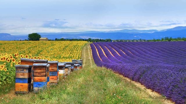 Светкино счастье смотреть онлайн