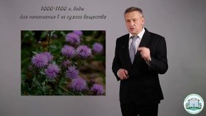 2 1  Биологические особенности сорных растений и их вредность