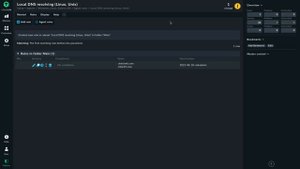 Working with the Local DNS plug-in in Checkmk