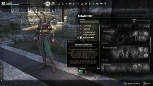 The Elder Scrolls Online - Что стоит знать перед покупкой игры ?