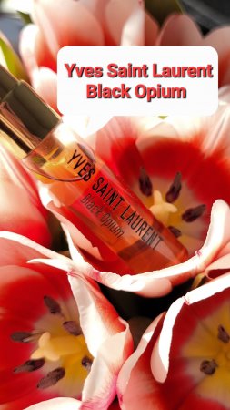 BLACK OPIUM - классика на все времена ☕️?