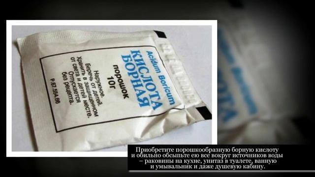 Как избавиться от тараканов Способы борьбы с тараканами смотреть онлайн