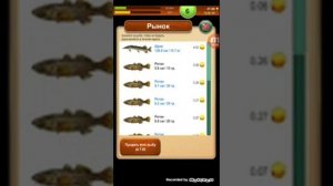 Fishing baron "щука 15,7кг?"