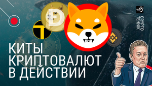 Что делать когда всё потерял?! Luna на дно Shiba на Луну! Doge ты куда?! Манипуляторы рынка в деле!