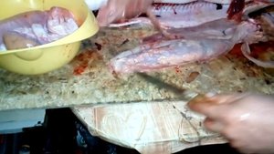 Все что мы берем из внутренностей щуки и жарим или в уху !!!!