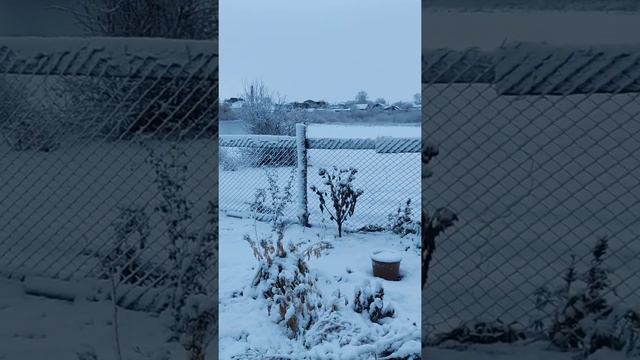 Первый снег в Зауралье .