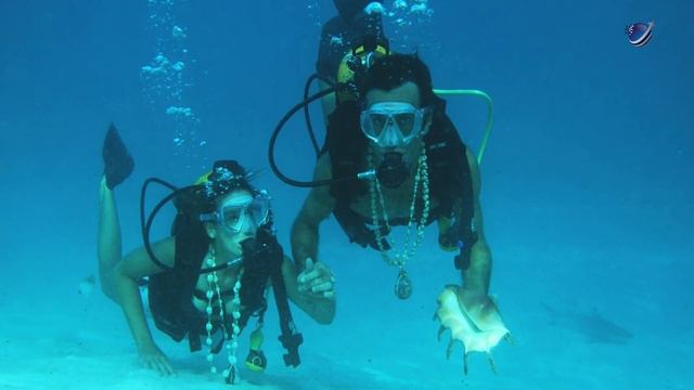 Top 10 Things to Do in Bora Bora смотреть онлайн