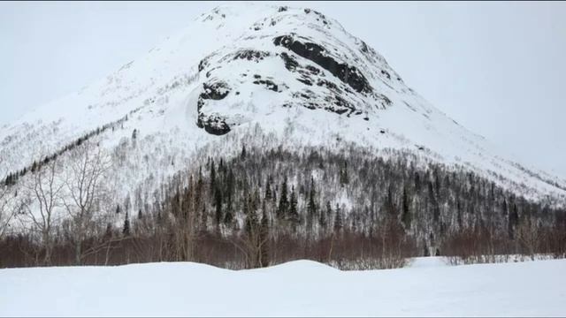 В горах Мурманской области ожидают сход лавин смотреть онлайн