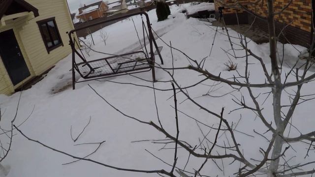 весенняя обрезка яблони Лобо и Брянское золотистое весь процесс от начала до конца