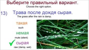 Тест по русскому языку : выберите правильный вариант.