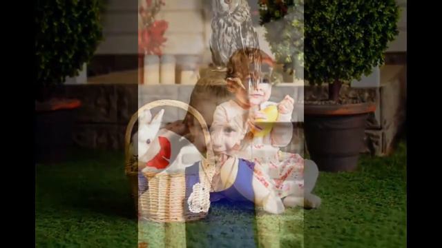 Животные для фотосессии на золотую свадьбу,8 965 380-13-11, Москва и область смотреть онлайн