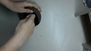 СКОРПИОНЫ ДЛЯ НАЧИНАЮЩИХ|ПЕРВЫЙ СКОРПИОН|КАКОГО ЛУЧШЕ ЗАВЕСТИ СКОРПИОНА?