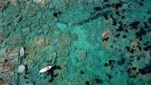 Бухта Большая Ежовая