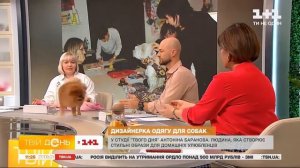 Как пошить худи для собаки